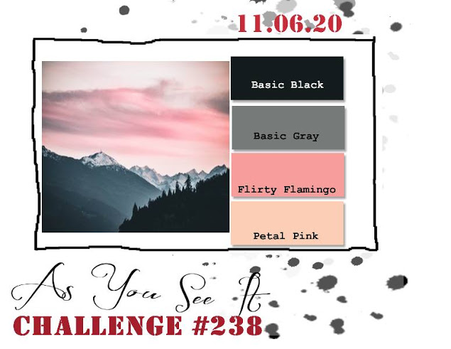 challenge 238 1
